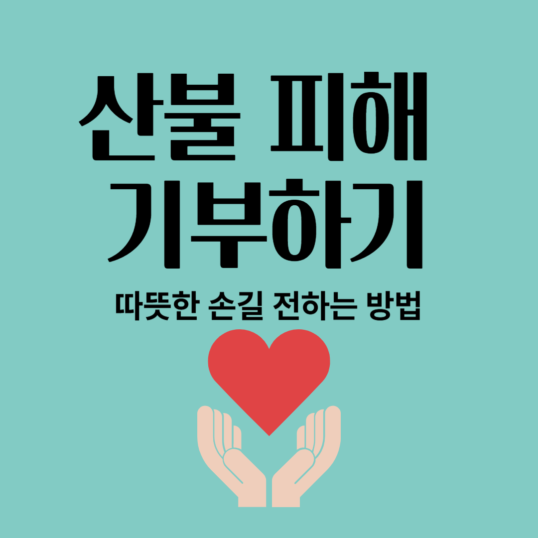 산불 피해 기부하기: 따뜻한 손길 전하는 방법