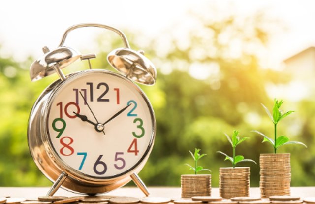 알람시계와 성장하는 동전 묘목