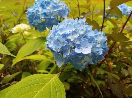 전반적인-건강-증진