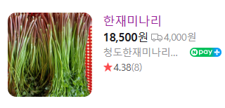 6시내고향 미나리