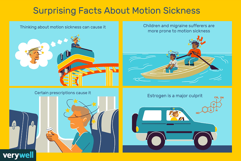 배 멀미는 왜 일어나나 VIDEO: What causes seasickness?