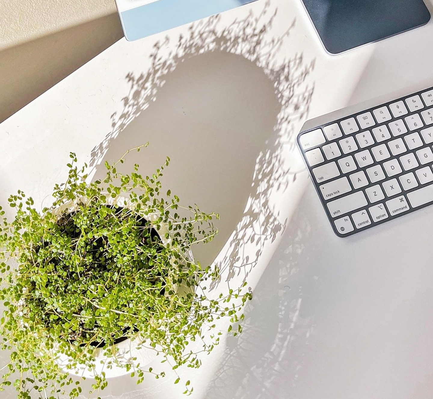 고금리 시대, 전세·월세·자가, 중년의 주거선택이 더 어려워진 이유!