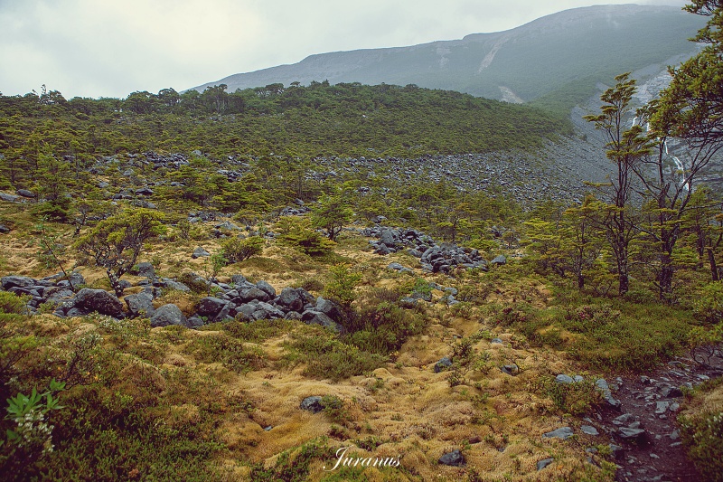 Mayo Spirit Trek 12