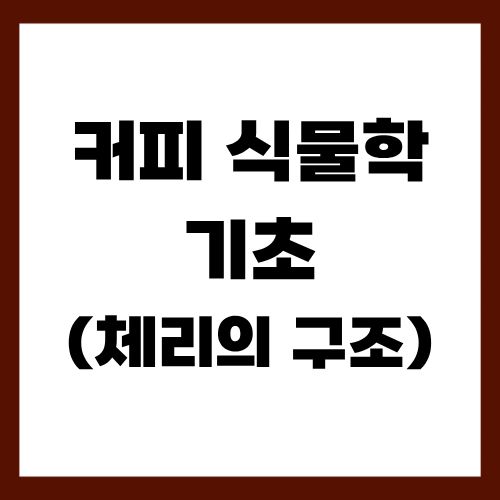 커피 식물학 기초