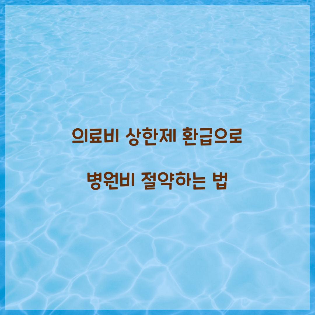 의료비 상한제 환급