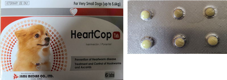 심장사상충 하트캅정