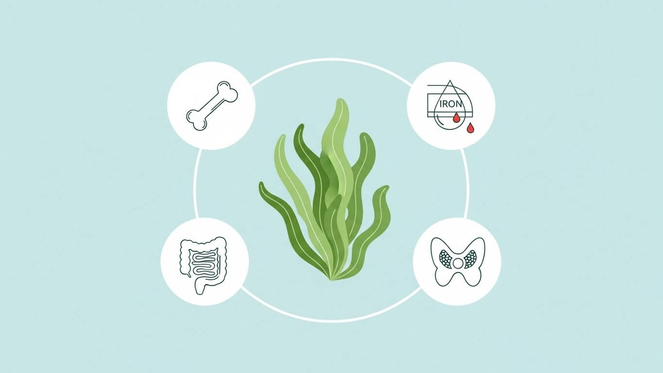 1. 미역이 산모에게 주는 영양학적 이점