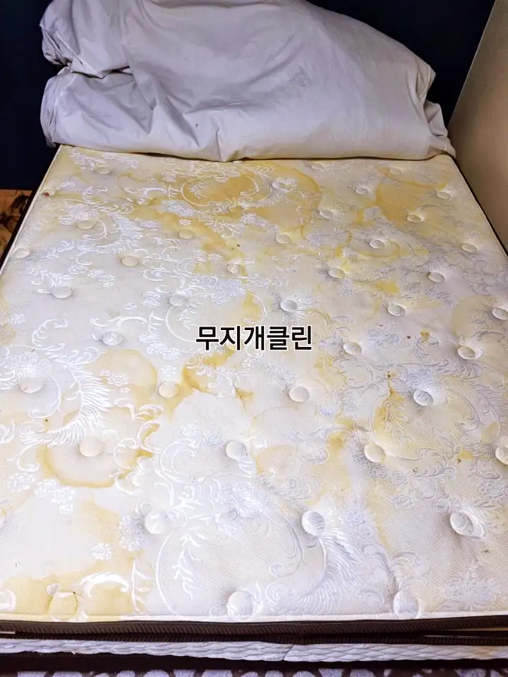 생생정보 매트리스 쇼파 의자 카페트 세탁 묵은 때 청소 전문가 연락처 및 의뢰