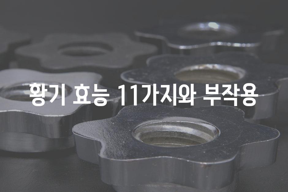 샘플 (52)
