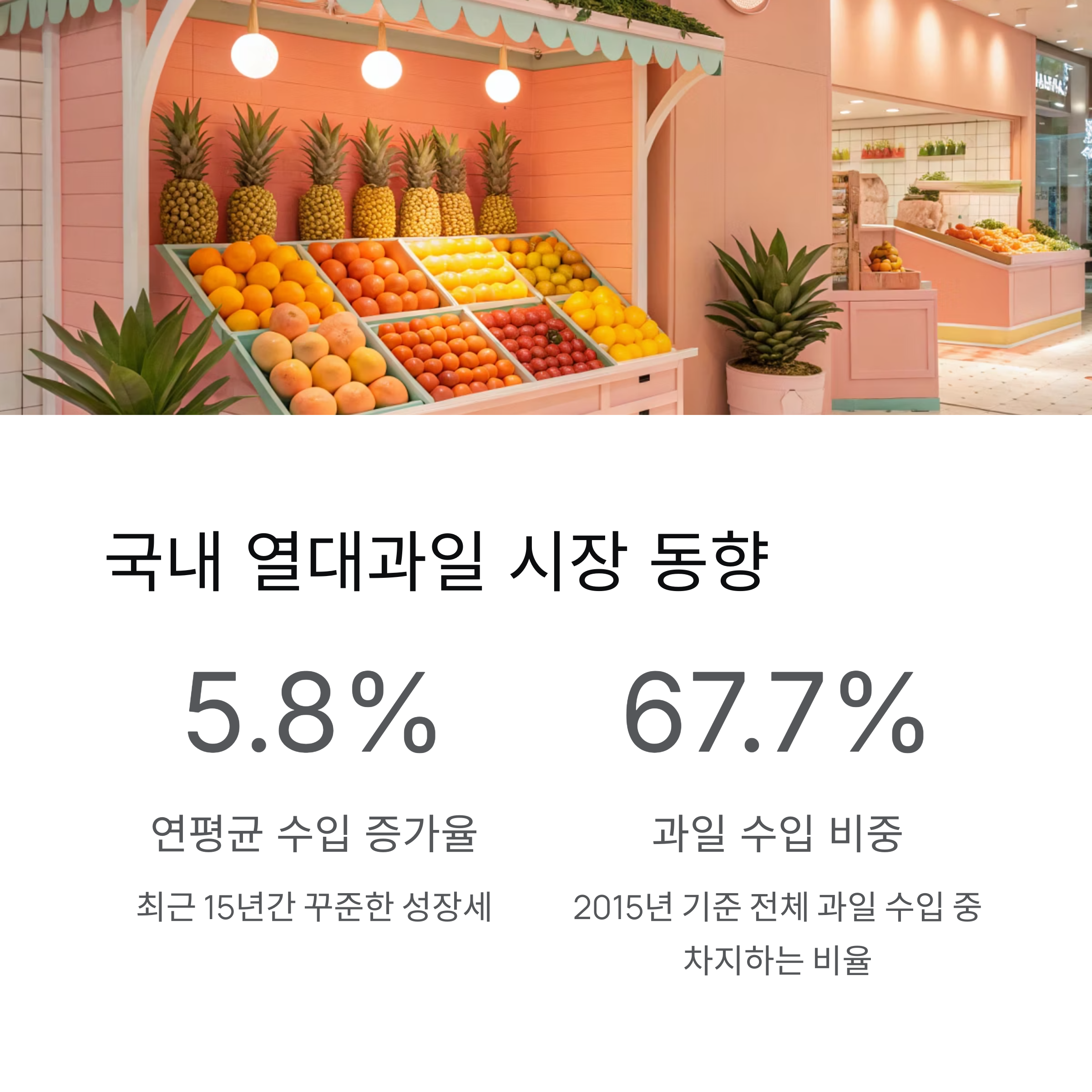 국내 열대과일 시장 동향