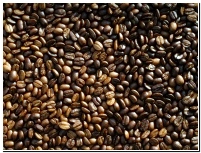 냉장고냄새없애는법