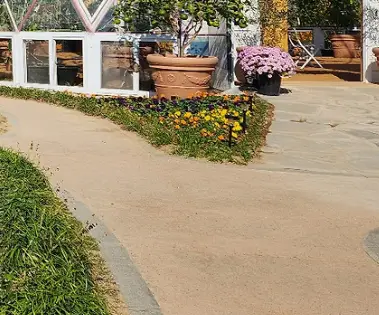 제19회 거제섬꽃축제 2025 – 국화향기 속으로 떠나는 섬의 가을