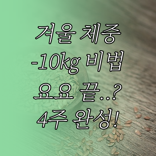 겨울철 다이어트 식단표 4주 구성과 ..