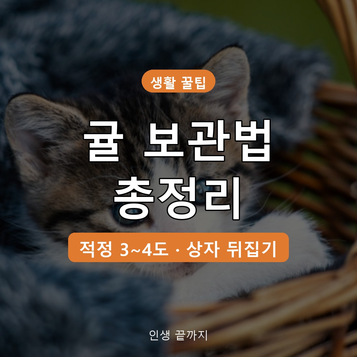 귤 보관법, 상자 뒤집기부터 냉장 3~4도&middot;냉동 보관까지 정리