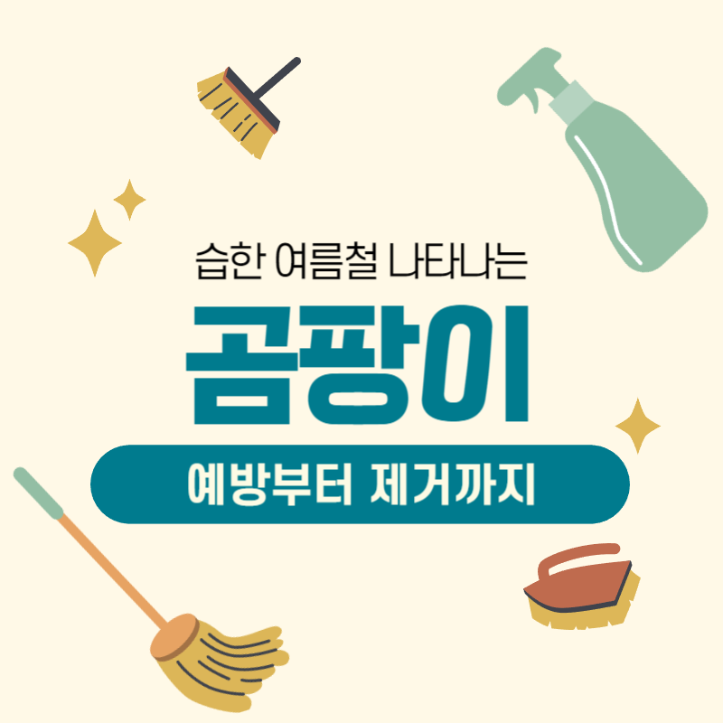 곰팡이 예방부터 제거까지