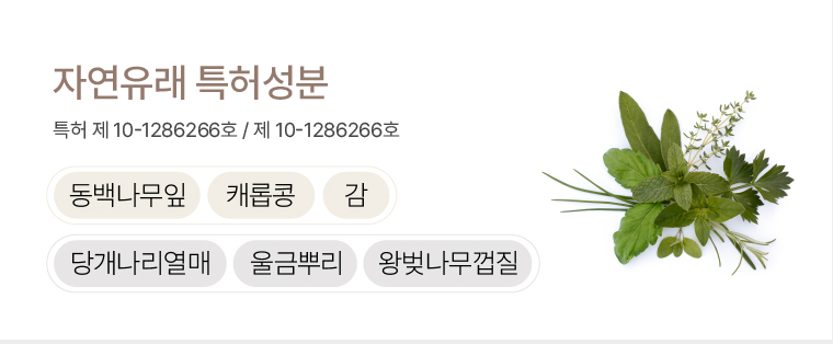 닥터모리엔13