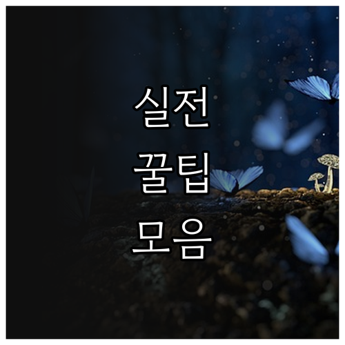 2025 광주 북구 둘째 출산축하금 ..