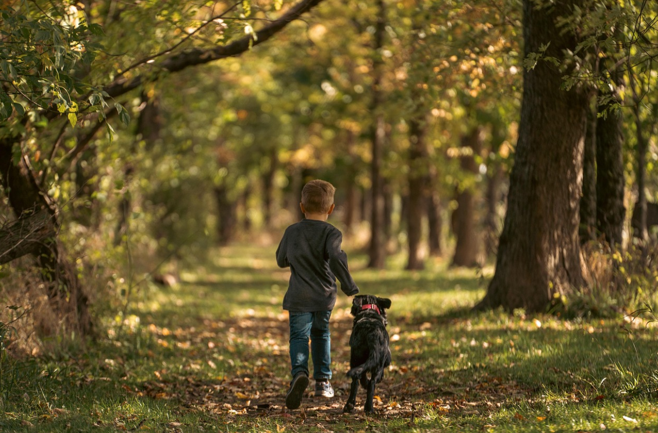 반려동물과 가벼운 운동으로 얻는 활력과 행복감에 대한 사진