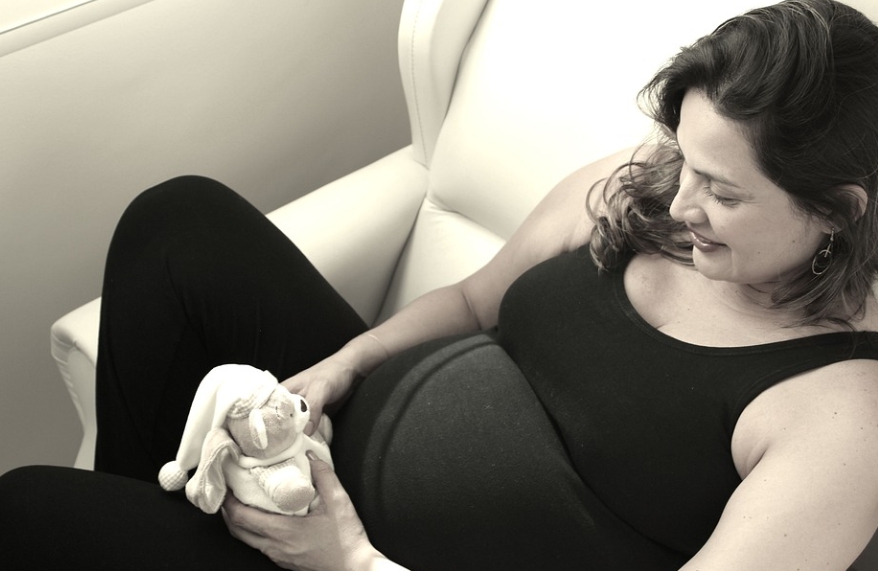 임산부 교통비 지원사업 