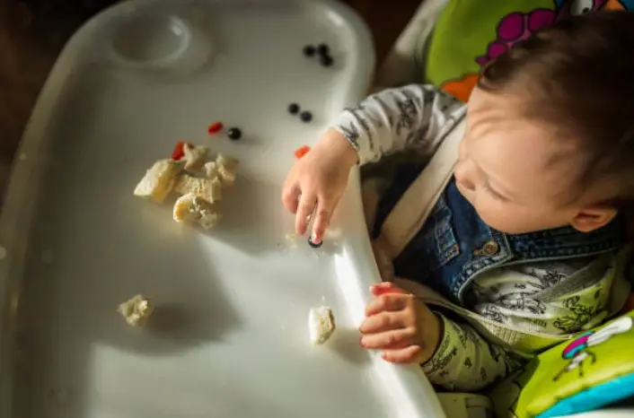 우리아이 건강한 미래 이유식