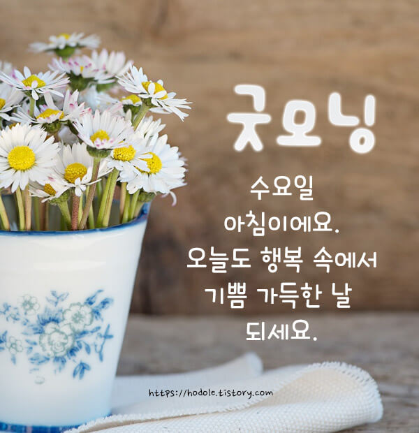 수요일아침인사