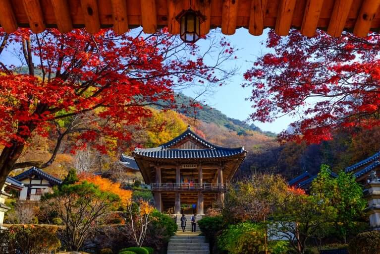 2025 영주 부석사 단풍 절정시기 및 사찰여행, 주차, 맛집, 주변명소 사진