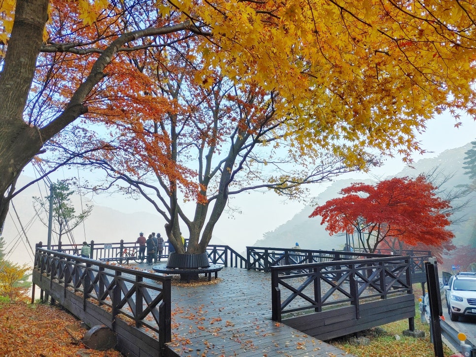 2024 가을 단풍 명소 7곳 소개