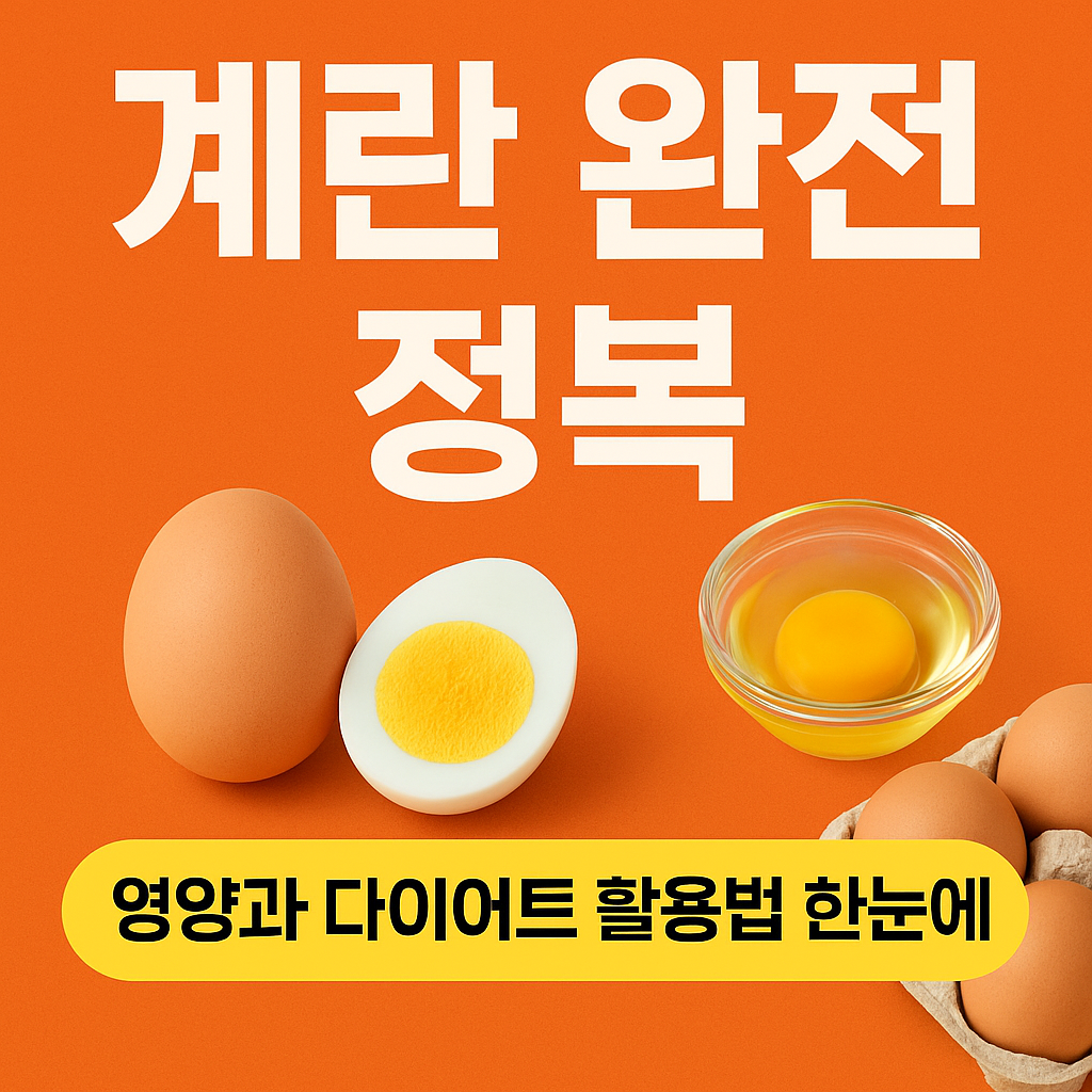 계란 완전 정복