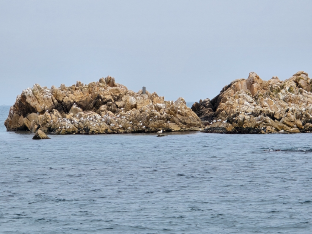 경주 여행 1박2일 코스