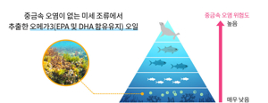 식물성RTG 오메가3