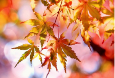 루게릭병 초기증상 원인 치료 살펴보기