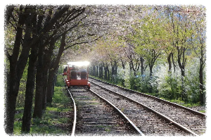 김유정 레일바이크