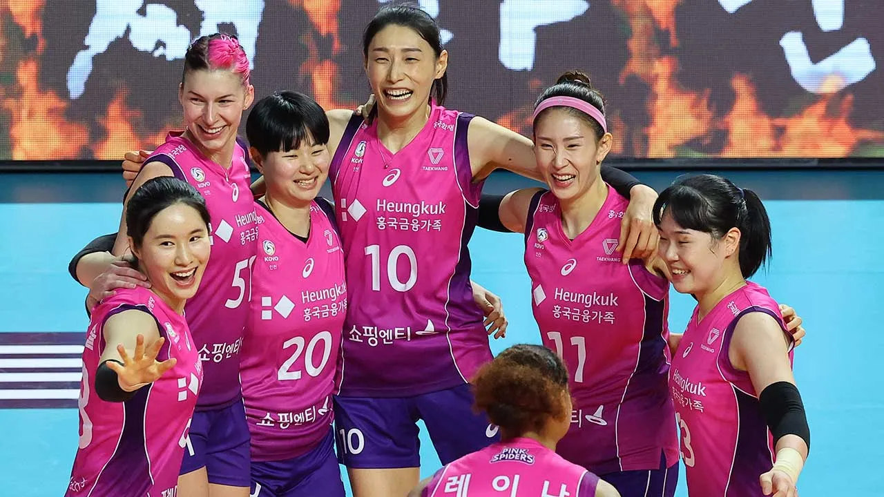 2025 2026 시즌 흥국생명 배구단 선수 명단 및 연봉 계약 FA 외국인 선수 정보 로스터 분석_2