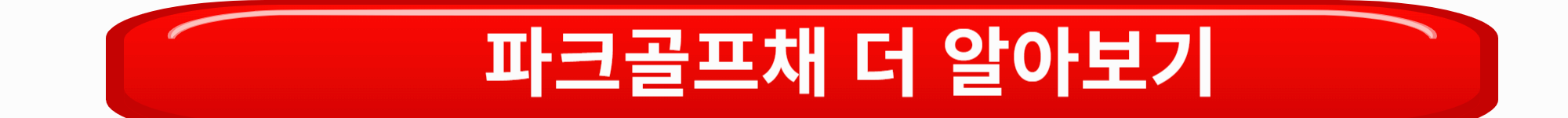 파크골프 용품 총정리! 꼭 필요한 장비부터 선택 아이템까지