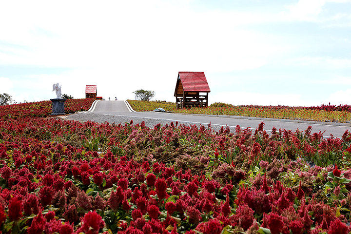 2025년 포토존 여행지 베스트