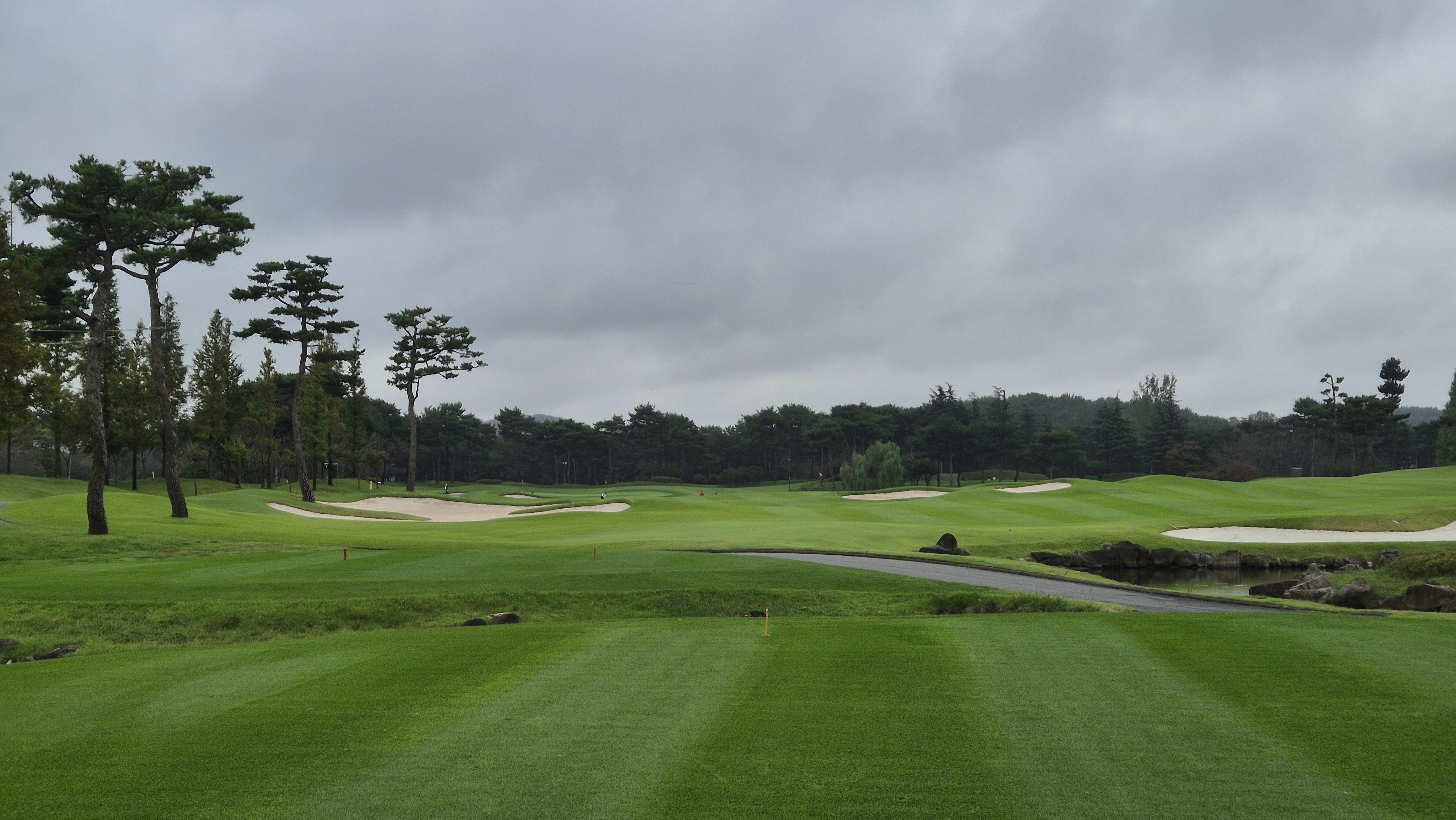 파인스톤cc 스톤 코스