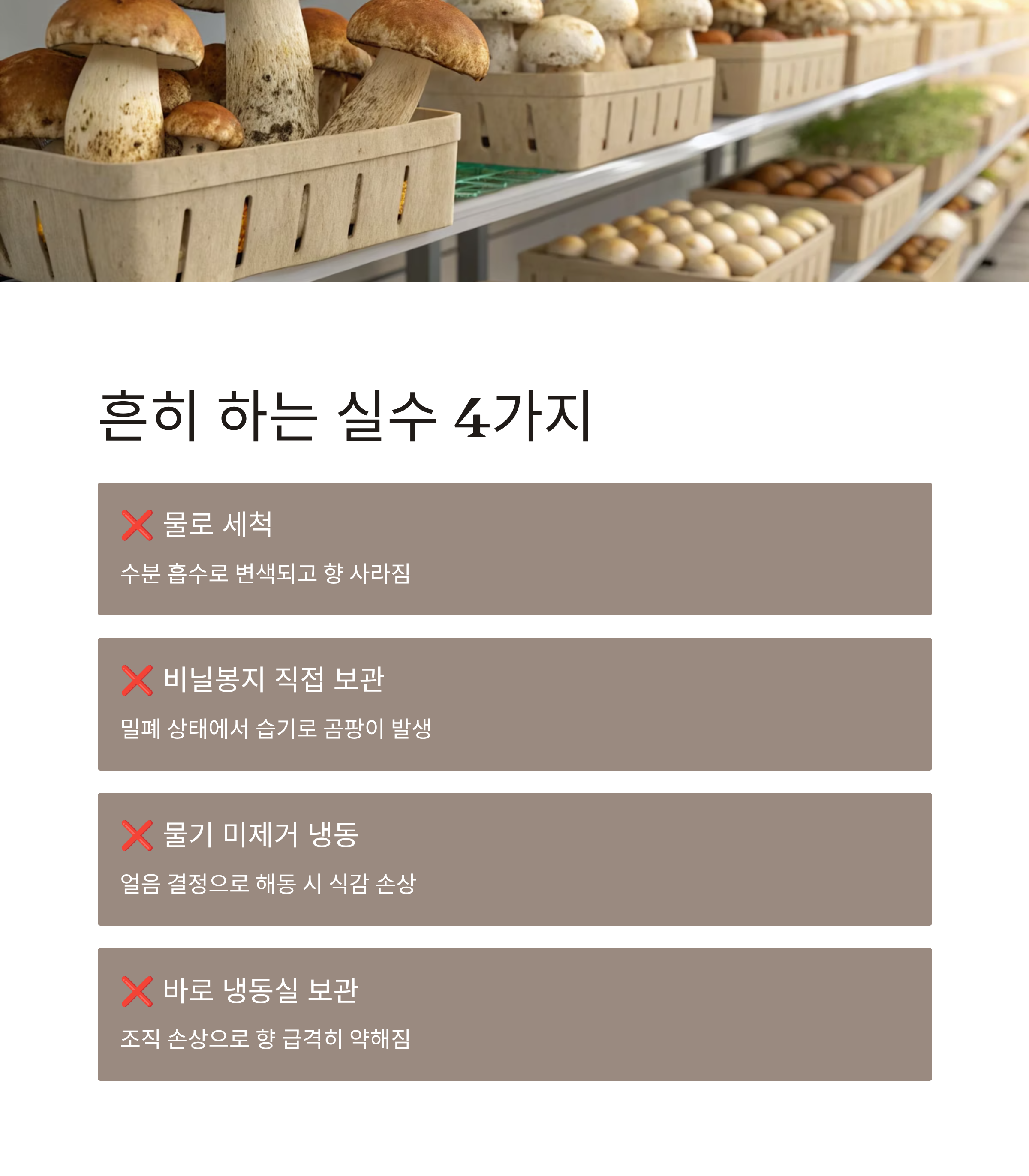 자연산 송이버섯 보관법 완벽정리｜향과 식감 그대로 오래 보관하는 비결