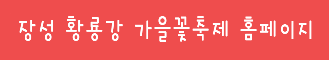 2025 장성 황룡강 꽃축제, 10월 18일(토)~ 10월 26일(일)관련사진