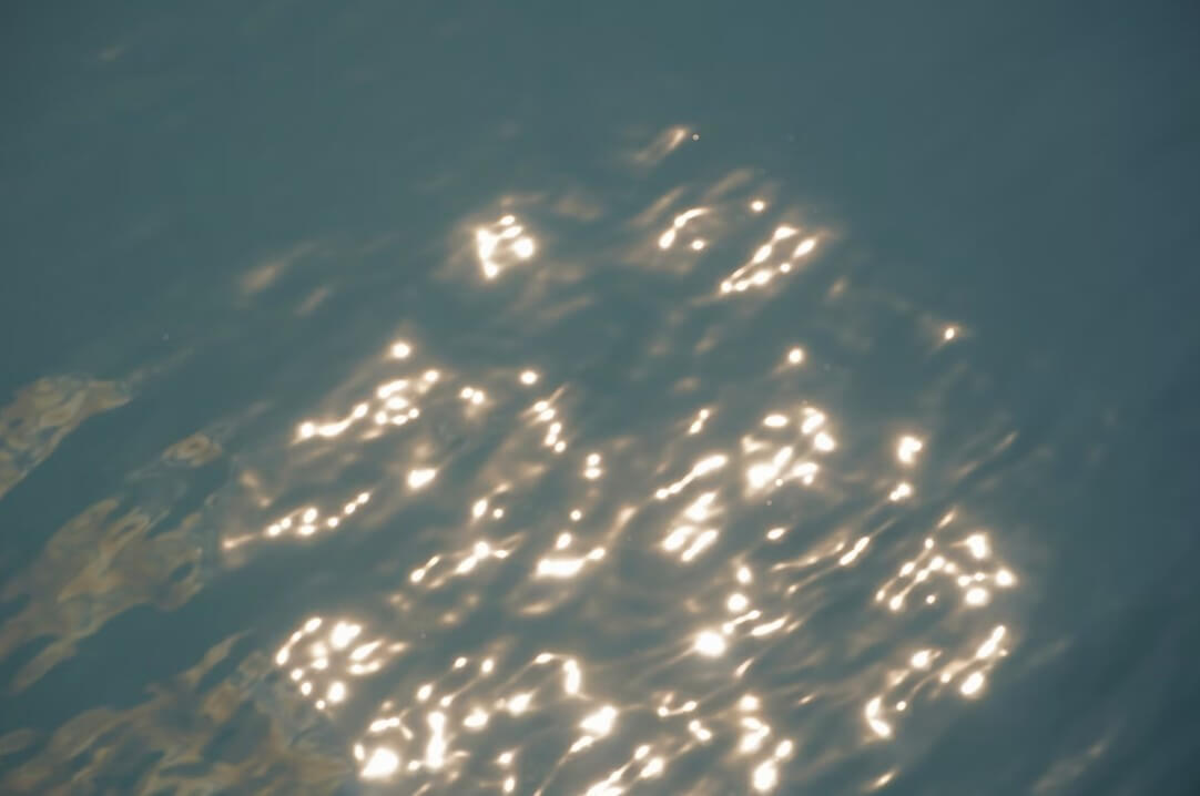 뿌옇게 보이는 모습