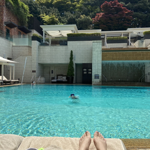 서울 신라호텔 공홈 예약. 서울 호텔 호캉스 숙박 후기