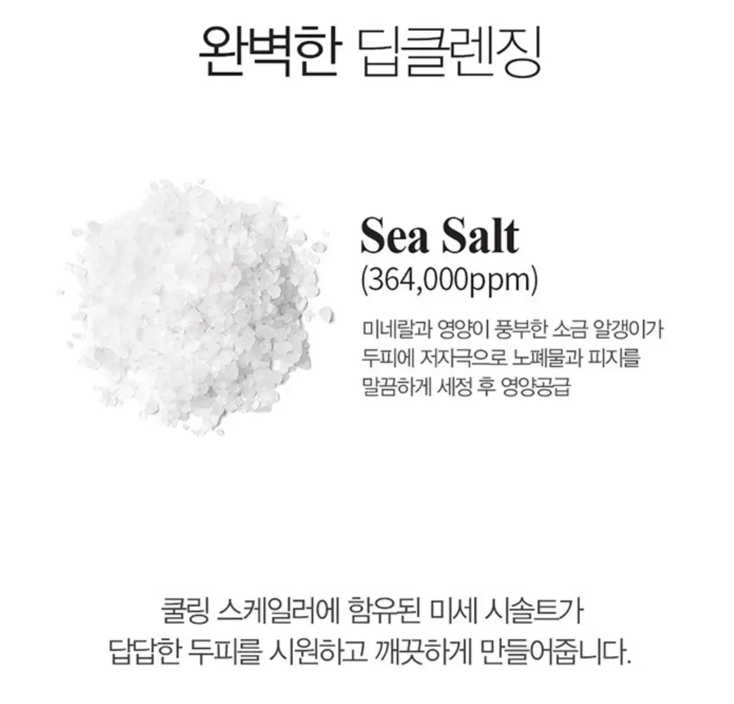 사진5