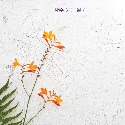 2025 협심증 스텐트 시술 비용 총정리|보험 적용 기준·본인부담금·실손 청구 팁