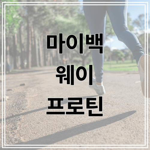 마이백 웨이 프로틴