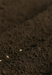 가을당근 파종시기