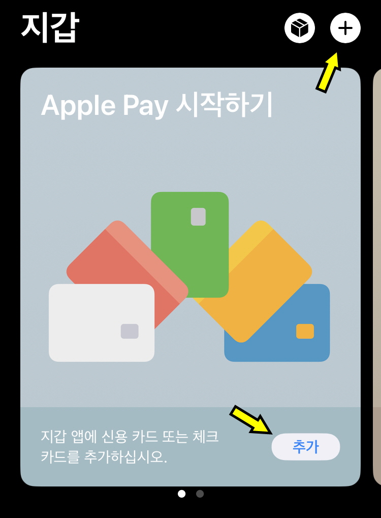애플페이