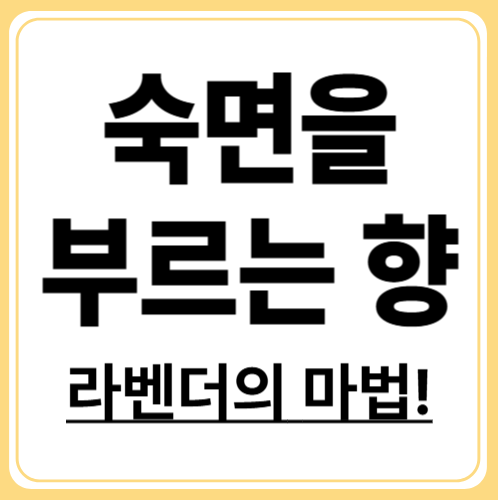 아로마 테라피로 스트레스 날리기, 라벤더 오일의 놀라운 효능