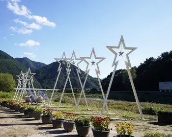 평창 백일홍 축제_21