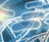 유산균의 과학적 효능과 선택 기준