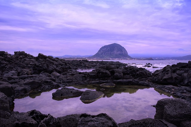 제주세계유산축전 관련이미지