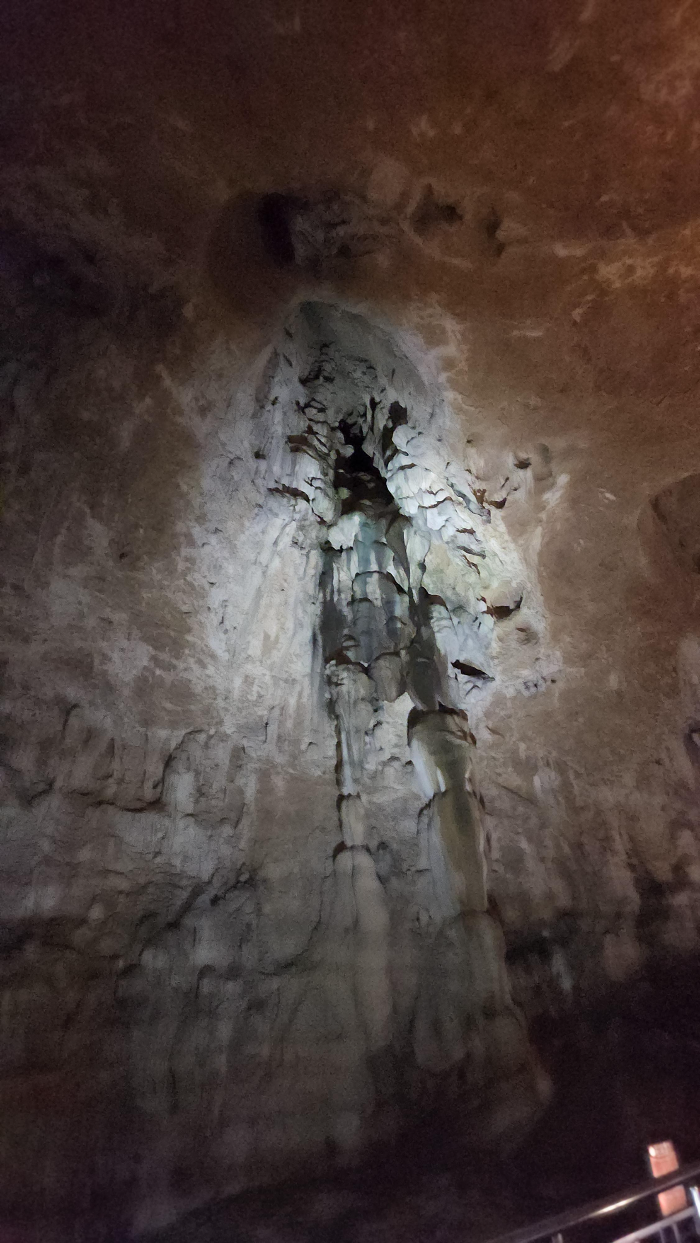 강원도 삼척시 환선굴